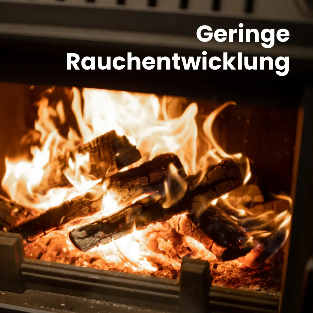 Kaminholz Buche kammergetrocknet | 1 RM